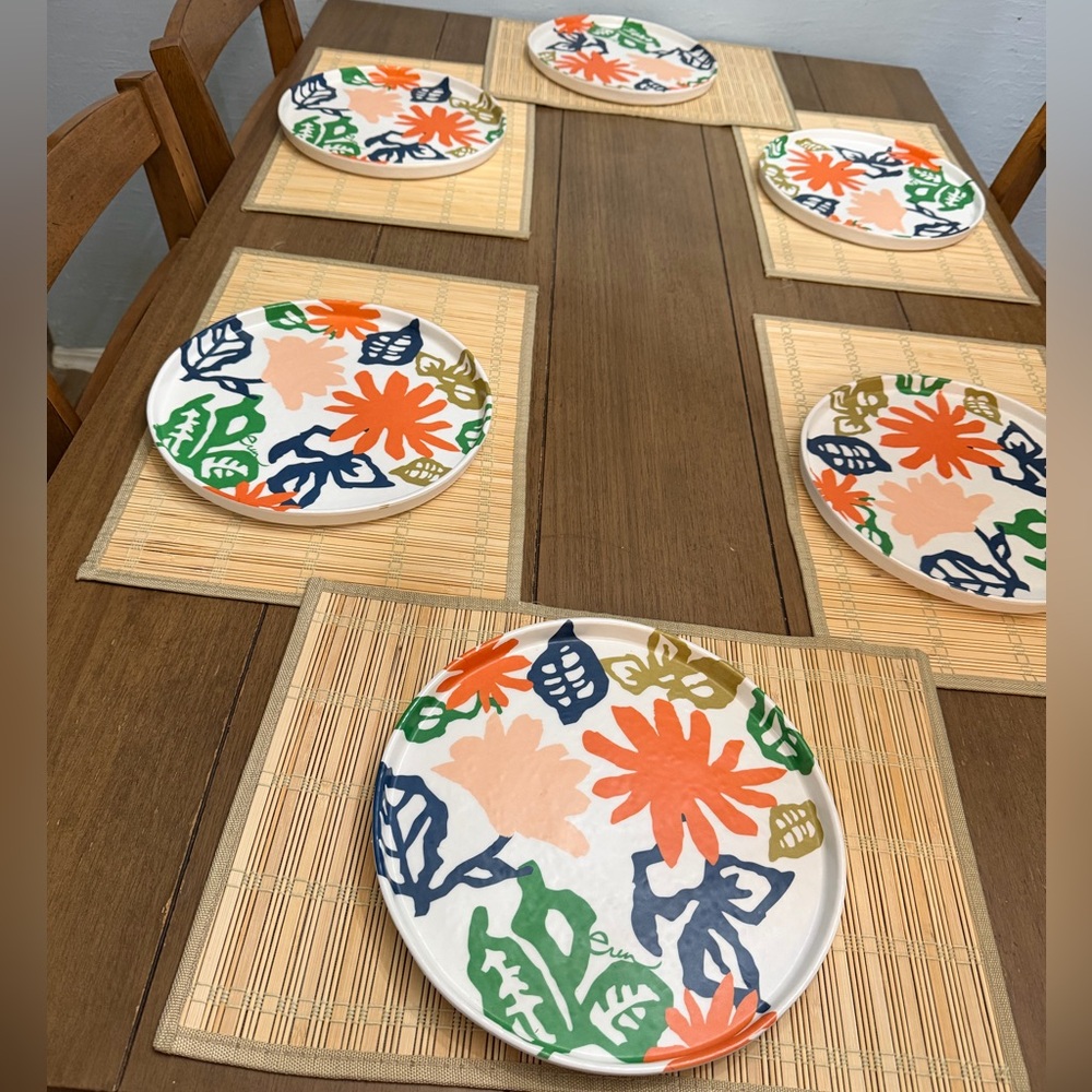 Erin Flett plastic plates with placemats set